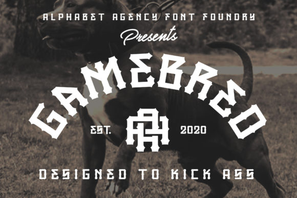 Gamebred: The Bold Statement Your Creative Work Deserves